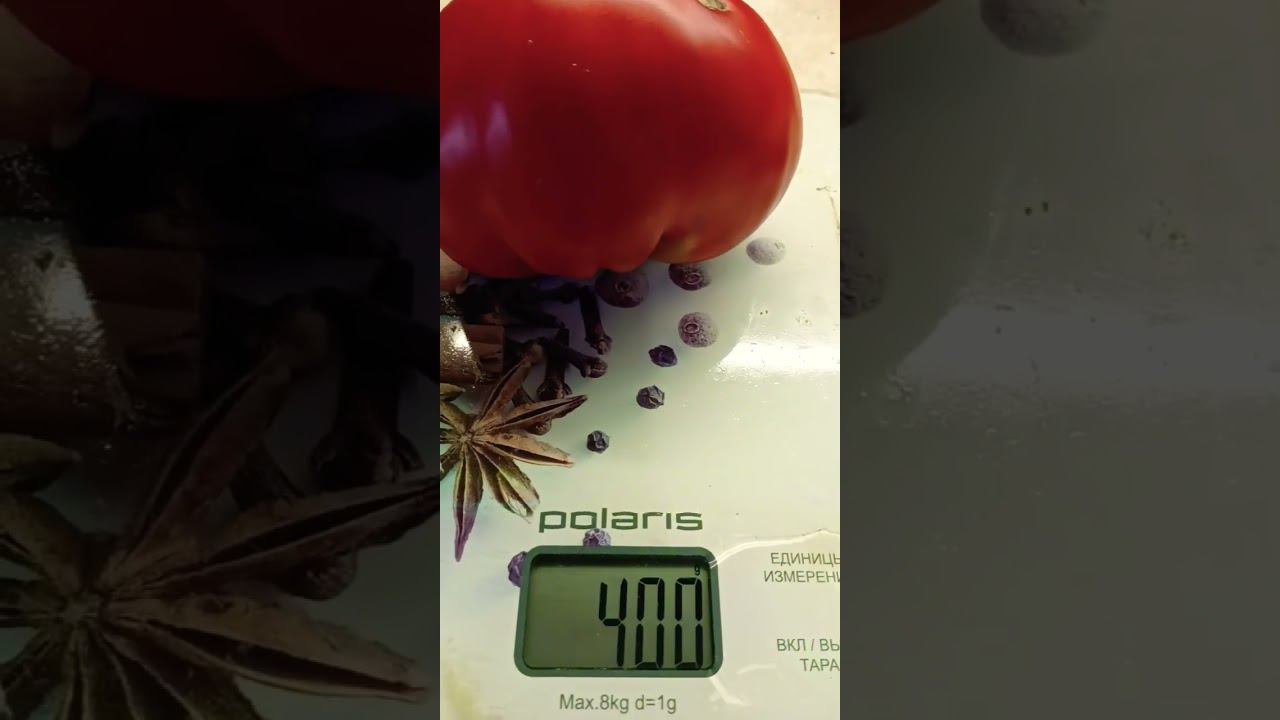 сорт не знаю,приходиться только догадываться по картинке #томаты#огород#shorts смотреть онлайн