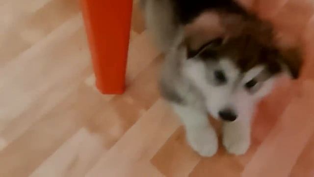 НАС ТЕПЕРЬ ТРОЕ смотреть онлайн