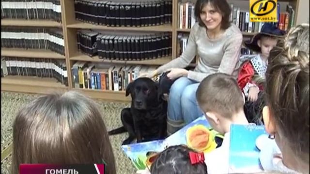 Студия для чтения сказок собакам открыта в Гомеле смотреть онлайн
