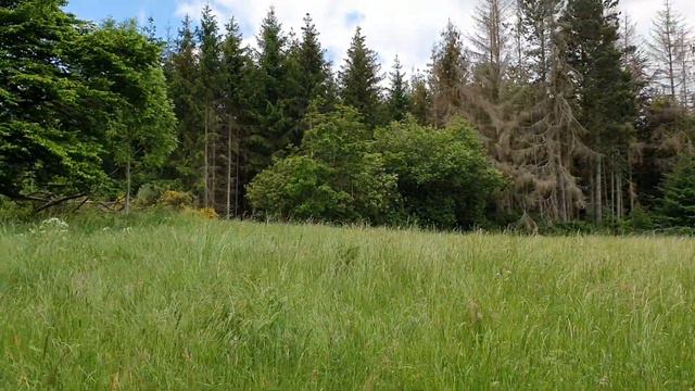 HIDTEN ASTETOID #День рождения смотри в Штаб квартире ВК(3) смотреть онлайн