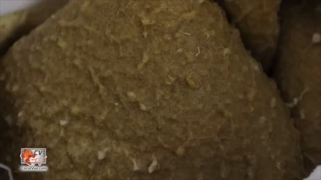 Coral Vue Introduction to Reef Sumps смотреть онлайн