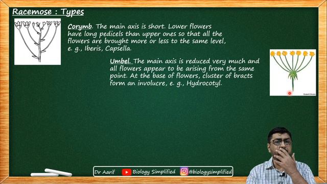 NCERT 11 | Morphology of flowering plants - Infloresence | Biology Simplified | Dr Aarif смотреть онлайн
