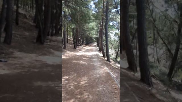 Крым. Солнечная Тропа #ливадия #ласточкиногнездо #люблюпутешествия#яхта #авторскиепутешествия смотреть онлайн