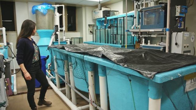 Degrees: Bachelor of Science смотреть онлайн