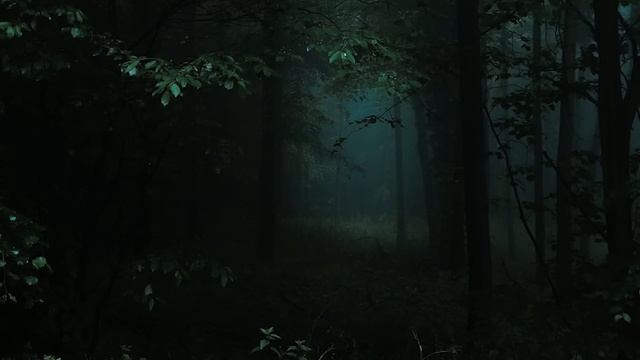 a twilight comfort playlist (pt.3) смотреть онлайн