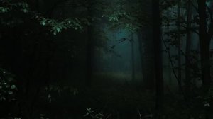 a twilight comfort playlist (pt.3)