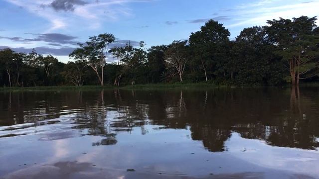 Перу.Город Икитос.Амазонка.Приток Река Нанай.Эколодж.2017 8 смотреть онлайн
