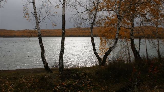 Золотая осень смотреть онлайн