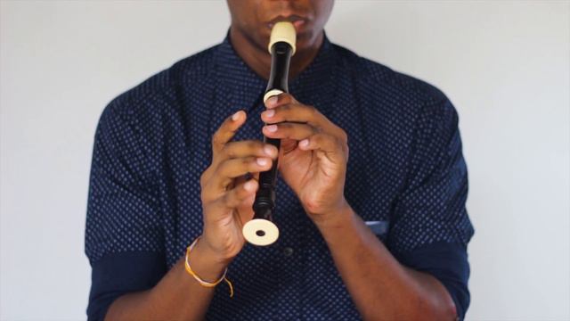 COFFIN DANCE MEME Recorder Flute cover || Alto and Soprano Recorder смотреть онлайн