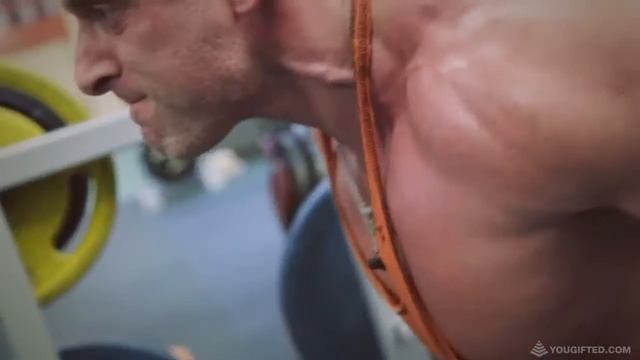 Станислав Линдовер. Тренировка спины смотреть онлайн