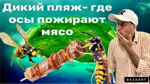 Дикий пляж и Beach Club в Сочи. Осы пожирают мясо. Цены  на рынке.