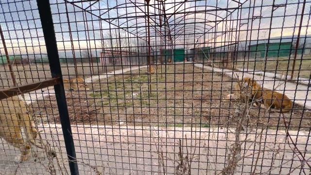 Почему каналы Тюриной, Трифоновой и Персидской попали в ЧЁРНЫЙ СПИСОК ? смотреть онлайн