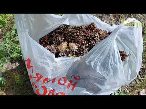 Сплав по реке Нейва. ДЕНЬ 3. Заключительный смотреть онлайн