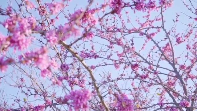 "Крещение Духом Святым "Андрей 28.05.2023 смотреть онлайн