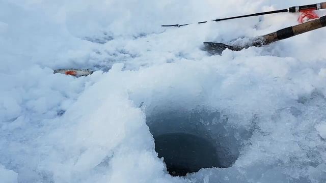 Зимняя рыбалка 2019. Поехали за линём, а надубасили окуня. смотреть онлайн