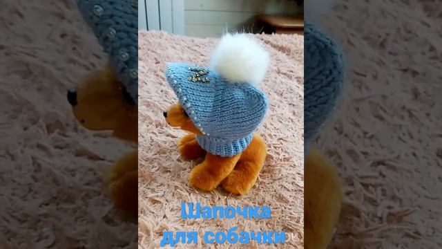 Вязаная шапочка для собачки. смотреть онлайн