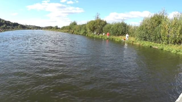 Отчёт по форелевой рыбалке на Стрелецком ручье смотреть онлайн