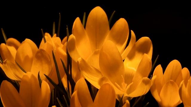 16 Киб 3 03062022 смотреть онлайн