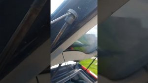 Замена газовых опор багажника Ford Focus 2