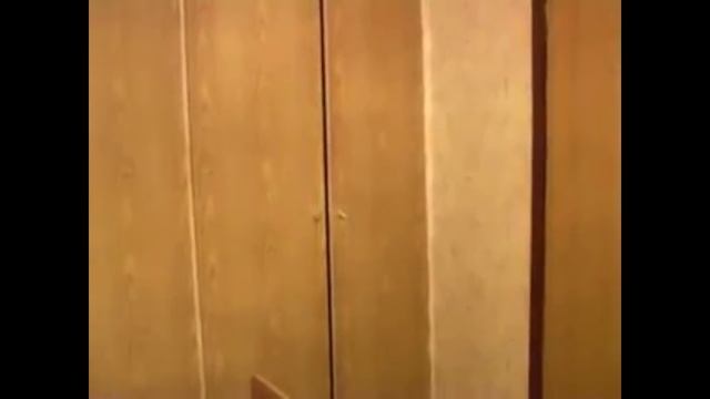 Спасай медвежонка.... и беги в шкаф)))) смотреть онлайн