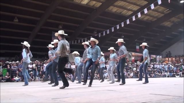 JOHN WAYNE line dance - Wild Country - Voghera 2014 смотреть онлайн