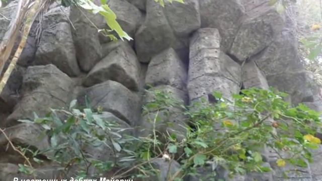 В цветочных дебрях Майорки (Медитация настроения) смотреть онлайн