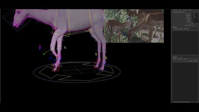 Advanced Creature Rigging - 03 : Impala Rig By Subbu Addanki смотреть онлайн
