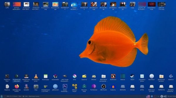 Полгода на Linux Xubuntu 20.04 / Какими линукс программами я пользуюсь / Windows или Linux? XFCE4
