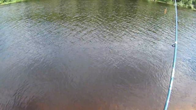 Рыбалка в Карелии Река Шуя Матросы 16 Июля 2017 года/Fishing in Karelia Shuya River Sailors July 16 смотреть онлайн
