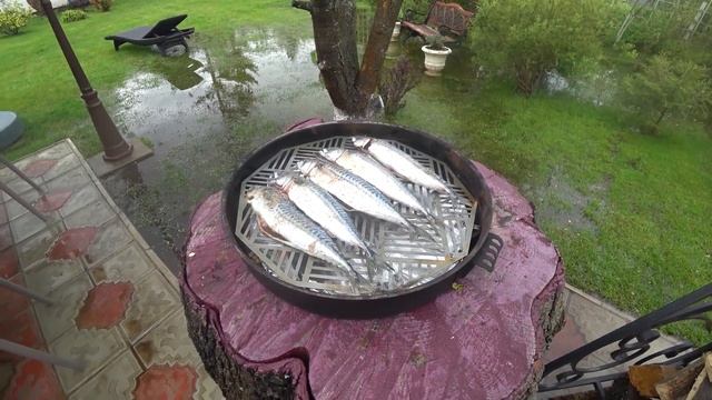 Скумбрия в коптильне. Салат из овощей на гриле смотреть онлайн