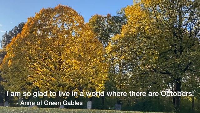 Reading "The Book Eaters" (Sunyi Dean) and making cinnamon and sugar loaf cake смотреть онлайн