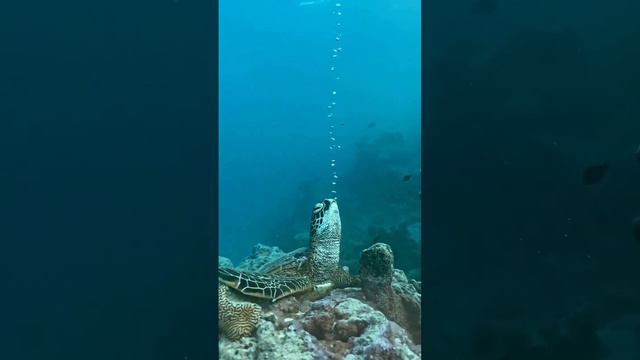 Тренды Бизнеса