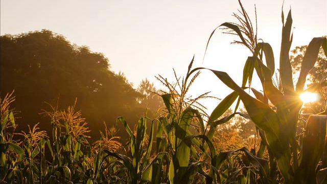Три сестры.Сборник наилучших народных песен Украины, Беларусь и России. смотреть онлайн