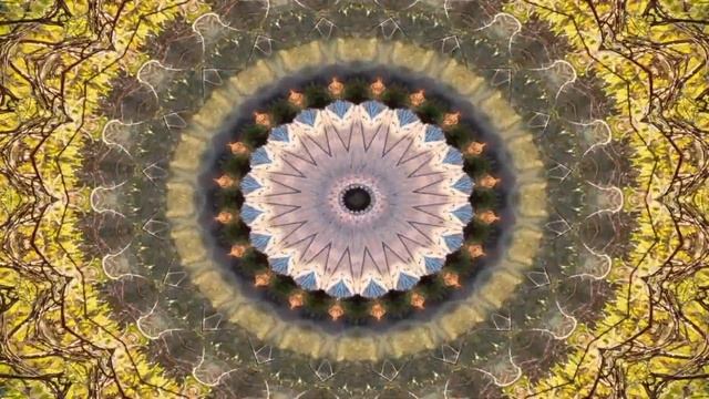 Abstract Colorful background | Hypnotic Colorful Motion #abstractart #background смотреть онлайн