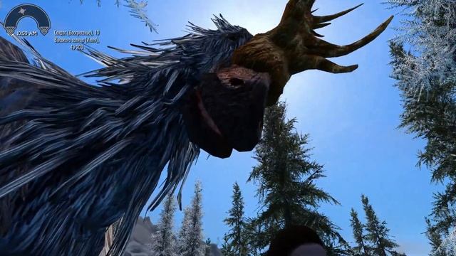 Skyrim: 5 РЕДКИХ СУЩЕСТВ СКАЙРИМА