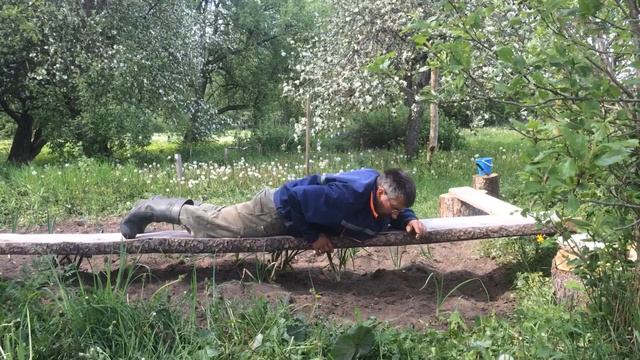 Прополка огорода без боли в пояснице и коленях. Weeding the garden without pain in the lower back . смотреть онлайн