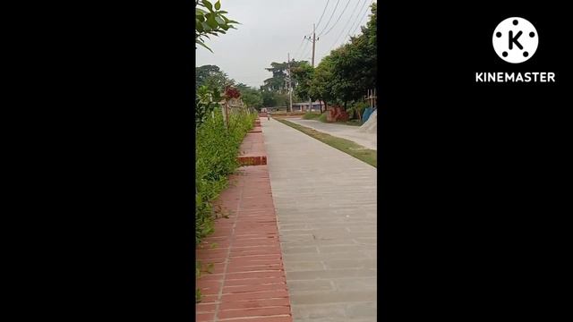 Saba and sara practice session in Bengal Martial arts academy смотреть онлайн