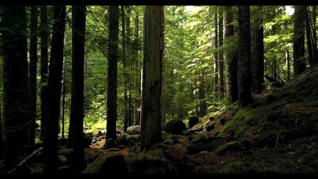 "Я маму третий день не могу разбудить, помогите" - сказала малышка незнакомой девушке. смотреть онлайн