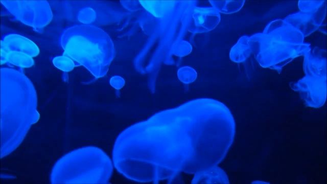 Самостоятельная проработка личных проблем. Работа со своими энергиями. Высшие аспекты. 18+ смотреть онлайн