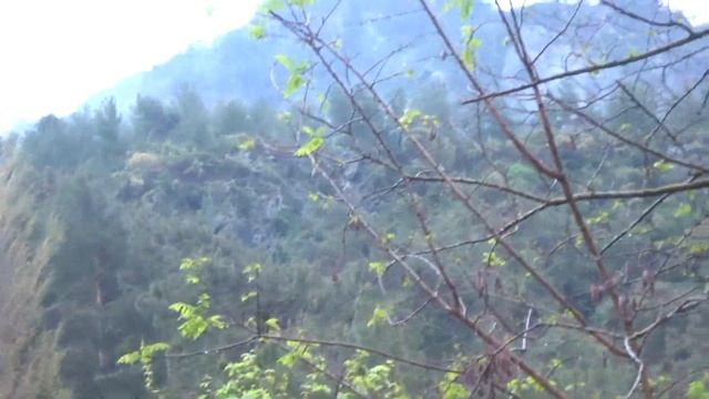 Аланья 2019 Dim Çayı и вокруг никого Короткий обзор достопримечательности смотреть онлайн