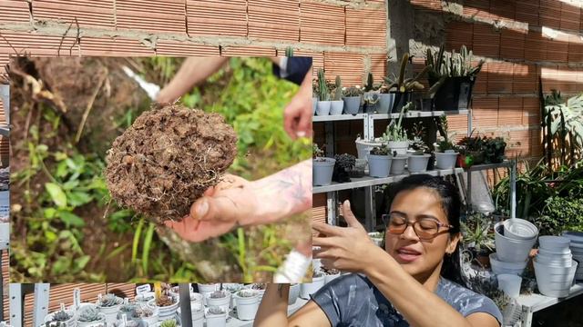Mañana de limpieza y riego del jardín en verano 🌱 | Jardines by Angie
