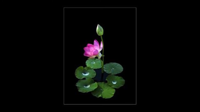 Mother Sri Aurobindo - Meditation Music смотреть онлайн