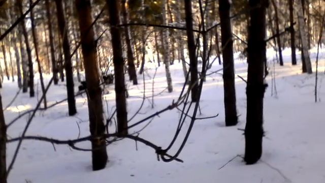 Прогулка на самодельном снегоходе в лесу смотреть онлайн
