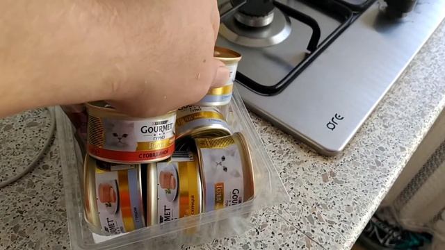 Кот Томас. Невская Маскарадная. Ему уже 2 месяца. смотреть онлайн