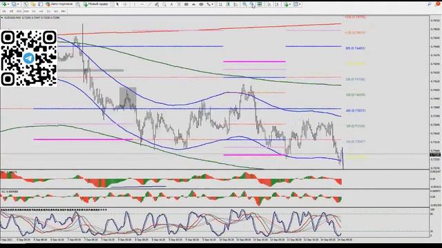 Практический трейдинг с Александром Лосевым 14.09.21 смотреть онлайн