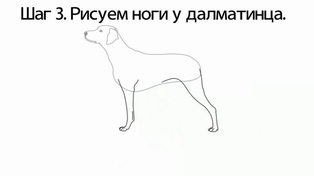 Как нарисовать далматинца карандашом поэтапно смотреть онлайн