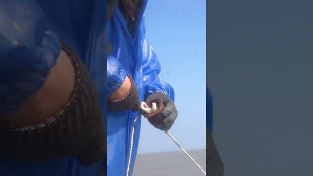 Amazing technique Fishing Octopus ? смотреть онлайн