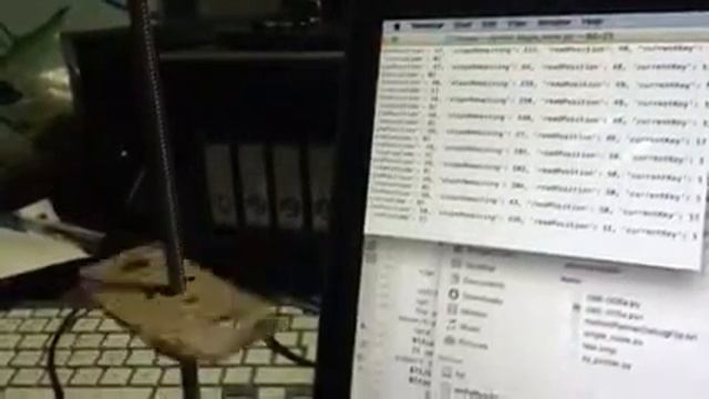 Single node.py test смотреть онлайн