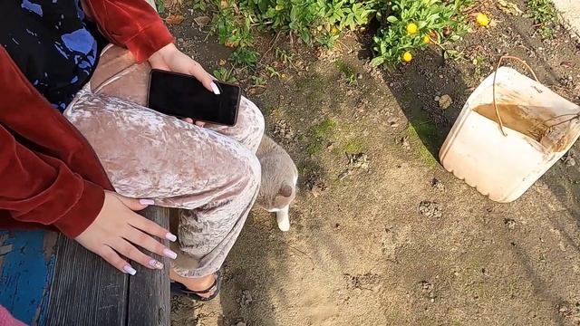 VLOG Отличный тёплый денёк. Викуся и я смотреть онлайн