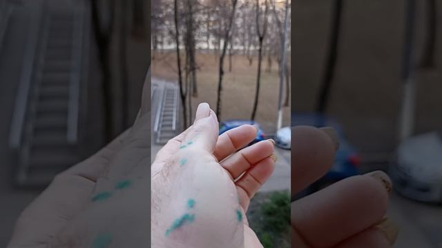 VID_20230415_055954.mp4 смотреть онлайн